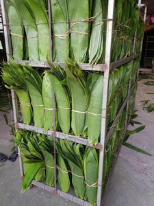 Meilleur prix direct usine feuilles de bambou sèches emballées sous vide en gros du Lotus bleu du Vietnam pour l'emballage de gâteau - Product Image 3