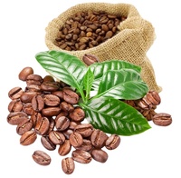Robusta café vert grains, café vietnamien-entièrement lavé SCR18 Grade 1