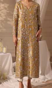 Vestido de Terciopelo Elegante Pakistaní, Colección de Diseñador, Atuendo para Fiestas Nocturnas y Recepciones de Boda - Product Image 6