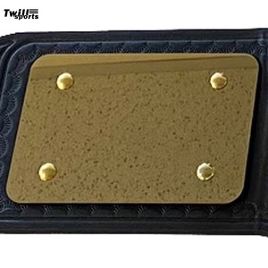 Cinturón de levantamiento de pesas profesional, hebilla de aleación de doble fila, entrenamiento de fuerza, cinturón de levantamiento de pesas Lumbar Brace Protector de espalda de cintura - Product Image 4