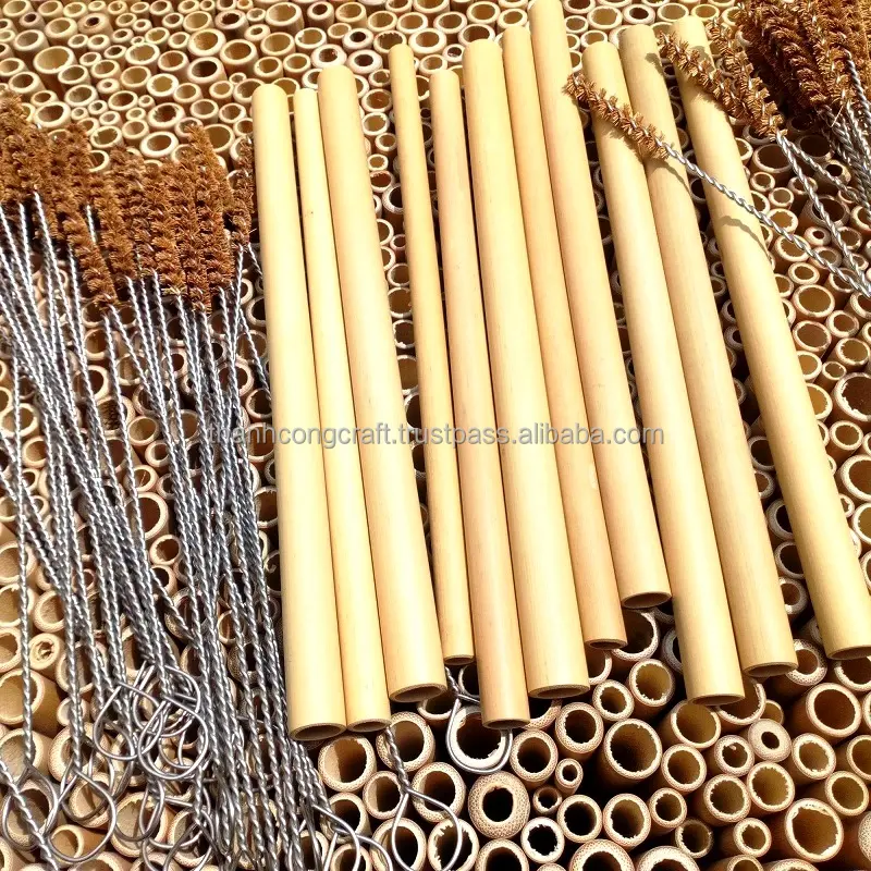 Großhandel schützen Umwelt mit neuen Produkten von Bambus stroh Biologisch abbaubare Strohhalme aus Vietnam
