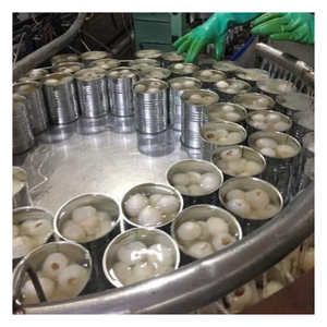 Proveedor confiable de lichi enlatado: entero o en mitades, opciones de embalaje flexibles, precio directo de fábrica para compradores globales - Product Image 4