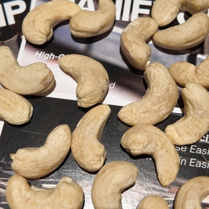 Nueces de Anacardo Frescas de Primera Calidad de África, Grado W180, con Certificación Orgánica USDA/UE para Procesamiento de Alimentos - Product Image 4