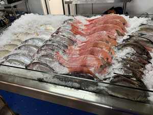 Pargo Rojo Congelado IQF, Suministro a Granel al por Mayor con 12 Meses de Vida Útil - Product Image 6