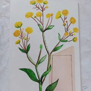 Póster botánico decorativo de Bupleurum, impresión artística de planta medicinal con beneficios para aliviar el estrés - Product Image 2