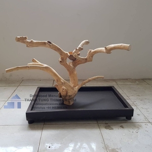 Percha de madera para pájaros con forma irregular, estilo clásico y duradero, para uso en interiores, base cuadrada, hecha en Vietnam. - Product Image 2