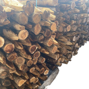 Piquets en bois de haute qualité à prix d'usine avec une extrémité pointue – Meilleure vente de piquets de jardin en bois à prix abordable pour l'aménagement paysager - Product Image 2