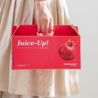 [JUICE-UP!] Jus de grenade naturel coréen, 30 sachets, riche en antioxydants, jus de fruits en vrac, grand format, boisson nutritive