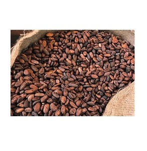 Granos de Cacao Criollo de Nueva Cosecha, Mezcla de Alta Calidad, Grado A, Origen Portugal, 25 kg - Product Image 1