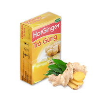 Sachets en plastique d'extrait de thé noir instantané aromatisé en poudre de boisson en poudre de gingembre en poudre d'approvisionnement d'usine