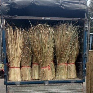 Natural Dried Grass for Thatch <b>Roof</b> Bulk Quantity Provider Grass Rolls for Thatched Roofing From Vietnam - Product Image 6