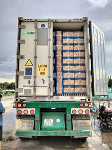 แตงโมหวานฉ่ำส่งตรงจากโรงงาน - Product Image 6