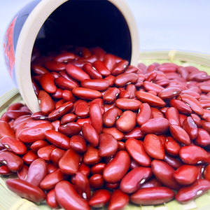 Wholesale Red Kidney <b>Beans</b> Large Quantity Ready for Shipment - Product Image 1