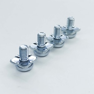 สกรูสแตนเลสรูปทรงไม่เป็นมาตรฐานแบบกําหนดเองสกรู DIN603 - Product Image 6