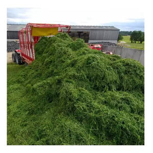 Alimento para animales de la mejor calidad, heno Alfafa para alimentación animal, alfalfa - Product Image 1