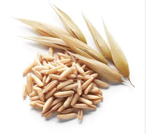 horse feed oats Wholesale Suppliers