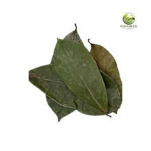 Feuilles de Graviola Biologiques Séchées, Thé aux Feuilles de Corossol, Thé Herbal Premium, Fournisseur en Gros, Exportation en Vrac du Vietnam - Product Image 4