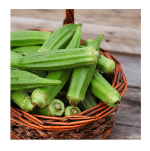 Okra Fresca Orgánica de Portugal al Mejor Precio de Fábrica, Disponible en Grandes Cantidades - Product Image 1