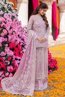 Robes de soirée Punjabi Designer robes formelles pakistanaises indiennes avec travail manuel brodé nouvel article toutes les tailles disponibles