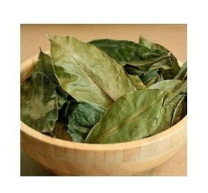 ใบทุเรียนเทศแห้งบริสุทธิ์เหมาะสำหรับการผสมสมุนไพรและการใช้งานทั่วไป - Product Image 1