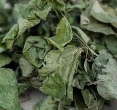 ใบพลูแห้งจากเวียดนามสินค้าเกษตร - Product Image 5