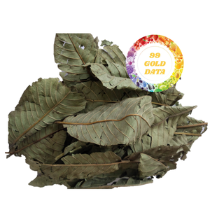 Top vente 100% feuille de goyave séchée naturelle fabriquée au Vietnam avec un bon prix et une haute qualité supérieure - Product Image 1