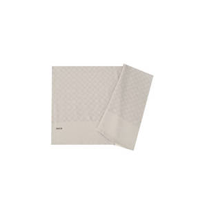 Chal Elegance Monogram 75x190 cm Gris Claro - Bufanda de Invierno en Poliéster, Cachemira y Lana - Product Image 1