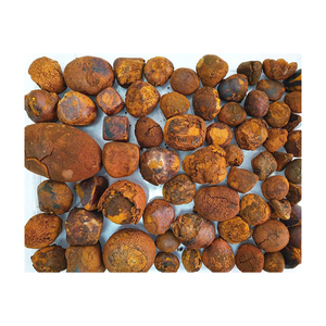 Cálculos Biliares de Buey 100% Naturales de Primera Calidad, Cálculos Biliares de Ganado, Cálculos Biliares de Vaca para la Venta - Product Image 5