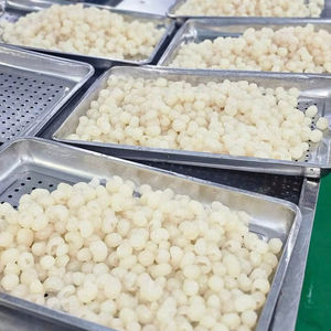 Longane congelé de qualité supérieure-Fruit tropical sucré du Vietnam - Product Image 1