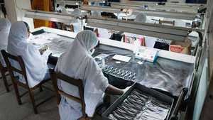 Fórceps de Extracción Dental Médico, Instrumento Quirúrgico de Acero Inoxidable de Alta Calidad con Certificación MOL CE - Product Image 5