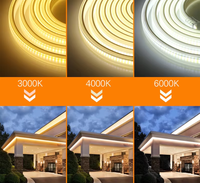 Bande LED Super Lumineuse Extérieure Étanche Flexible pour Plafond, Haute Tension 220V IP65 2700K Blanc Chaud Doux, PVC pour Parc Thématique