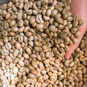 Café vert Robusta biologique USDA du Vietnam, certifié ISO 22000, 98% de maturité, taille 18, qualité supérieure AA+, vente en gros - Product Image 1