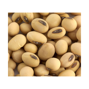 La mejor calidad, por encargo, venta al por mayor, soja de gran venta, rendimiento de alto costo, grado alimenticio, soja amarilla no OGM - Product Image 4