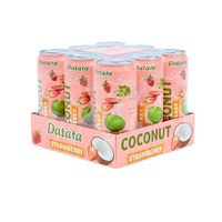 Aardbei Kokos Fruit- en Groentesap Drankje 330ml Blik Private Label OEM ODM Klaar om te drinken