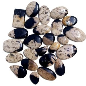 Piedra Preciosa de Raíz de Palma Fósil de Primera Calidad, Piedra Preciosa Natural de Raíz de Palma Fósil, Piedra de Forma Mixta para Joyería - Product Image 3