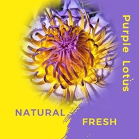 Emballage personnalisé, thé instantané aux fleurs de lotus bleues séchées sans sucre, de haute qualité, 40g, feuilles entières, naturel