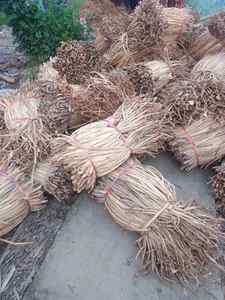 Meilleur Prix Hyacine D'eau Brute Du Vietnam/Jacinthe D'eau Séchée Pour La Fabrication De L'artisanat - Product Image 2