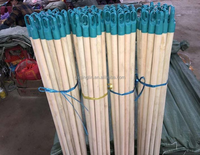 Balai à manche en bois d'eucalyptus, tête en plastique, poils doux, portable, naturel, 6 pouces, prix de gros usine, personnalisable, pas cher