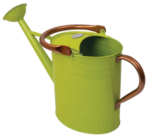 Canette d'eau en métal de qualité supérieure décorative galvanisée canette d'eau couleur personnalisée faite à la main indienne élégante meilleure canette d'eau - Product Image 6