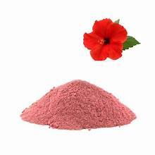 POUDRE DE FLEUR D'HIBISCUS À BASE DE PLANTES DE QUALITÉ SUPPORT DU SYSTÈME IMMUNITAIRE ET UTILISATION DU BIEN-ÊTRE D'ÉTIQUETTE PROPRE - Product Image 2