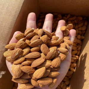 Almendras de Primera Calidad, Almendras Crudas Naturales, Proveedor Mayorista de Exportación - Product Image 3