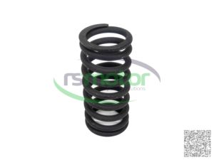 Valve Spring For MWM RS-12280125 for Machinery Engine Parts - Product Image 2