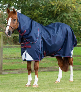 Ventes en gros de couvertures pour chevaux équestres, directement de l'usine, imperméables, respirantes, OEM, confortables, personnalisées - Product Image 4
