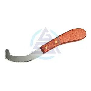 Vente en gros GOLDEN Brand Bot Egg Knife Manche en bois Soins vétérinaires pour chevaux Outils de toilettage Fournitures Modèle GSIB-100403 - Product Image 1