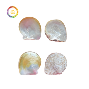 Wholesale mother of pearl <b>plates</b> affordable price exporter polished glossy natural shell <b>plates</b> strong durable <b>surface</b> - Product Image 1