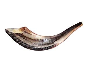 Shofar en corne de bélier naturelle de qualité supérieure, poli, instrument religieux juif, inspiré des artisans royaux, style animal, fabrication européenne sur mesure - Product Image 1