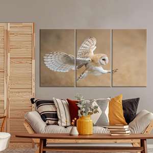 Barn Owl <b>Canvas</b> Art: Before Attack, Printed <b>Animal</b> Wall Decor,SET OF 3 <b>CANVAS</b> - Product Image 1