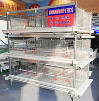 Équipement de ferme avicole de Type H Poulailler, cage à poulets pour bébés poussins cage d'élevage de poules pour poussin