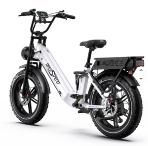 NUEVO Bicicleta Eléctrica de Carga con Llantas Gruesas, 48V 750W, Batería de Litio, Acero Aleado, 7 Velocidades, en Oferta - Product Image 1