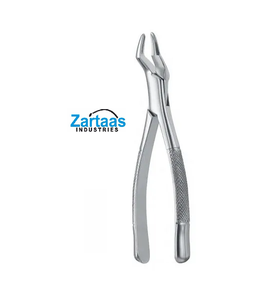 Pince d'extraction en acier inoxydable de haute qualité incisives supérieures et racines fig 286 exportateurs et fabricant - Product Image 3
